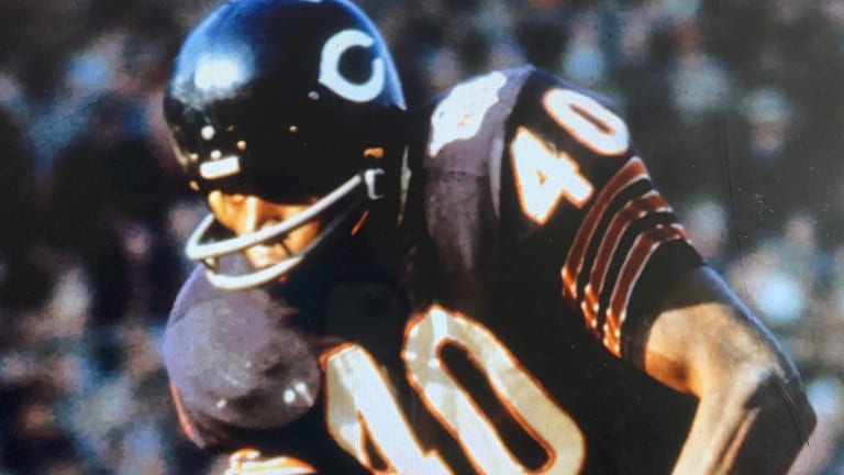 Gale discount sayers highlights