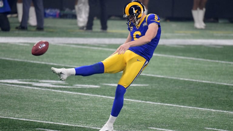 Best punter in nfl sale